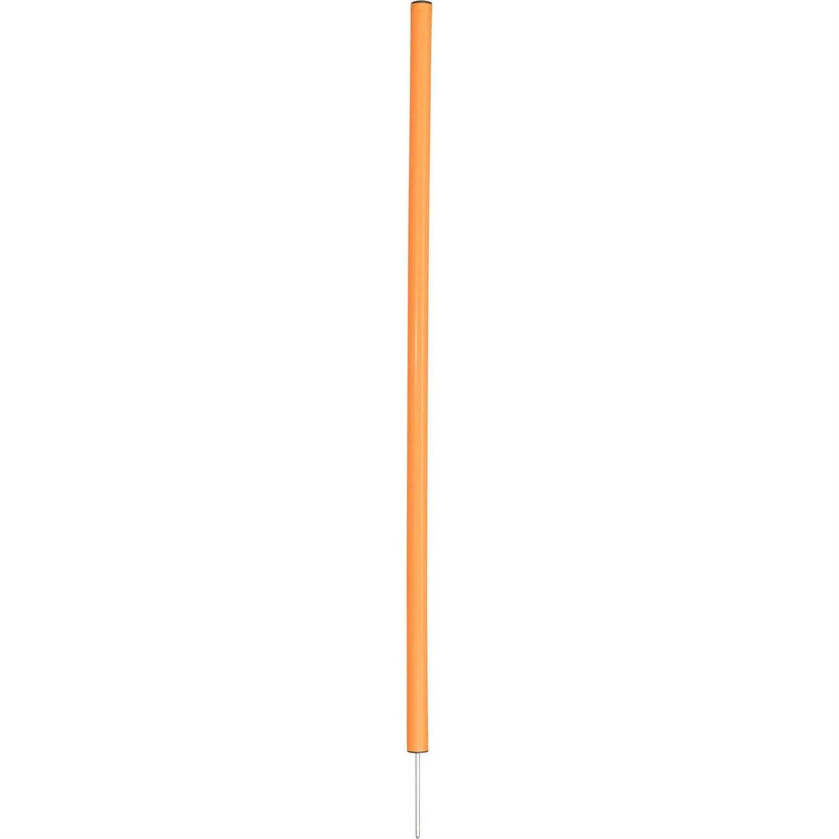 Dog Training Poles I654