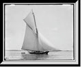 Framed Print Y641