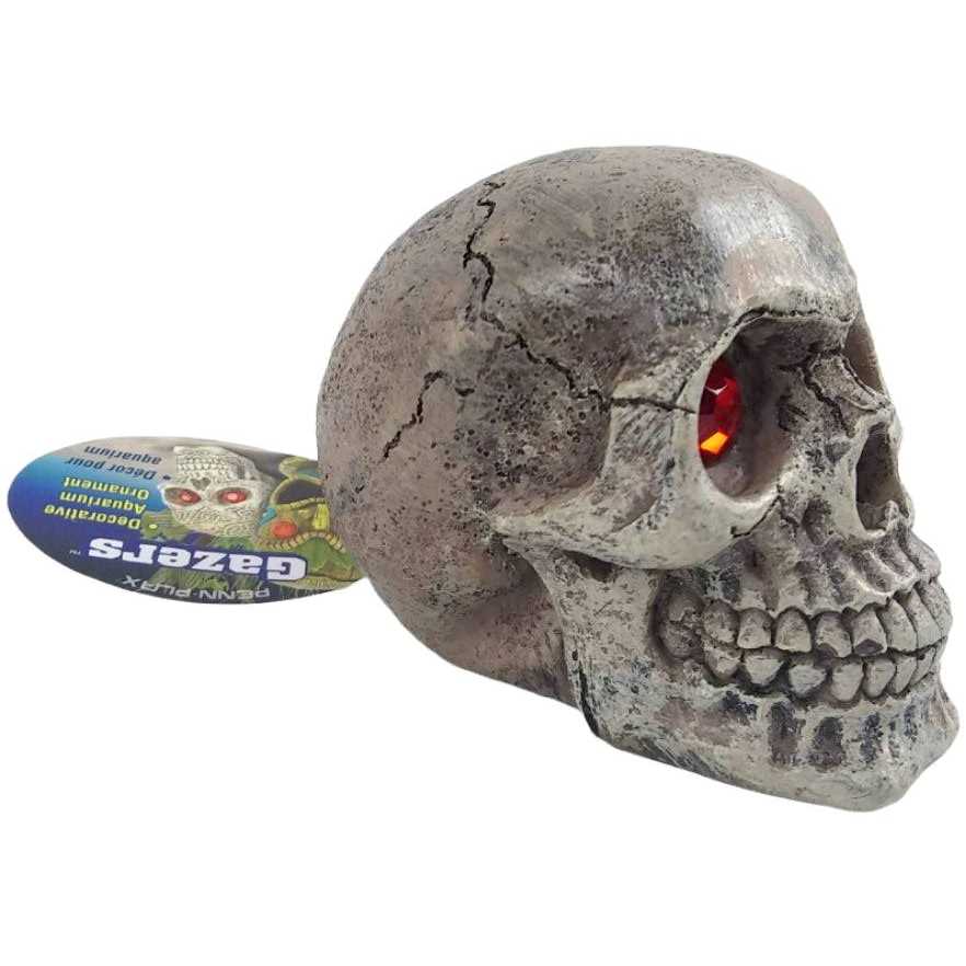 Skull Gazer Ornament U166302