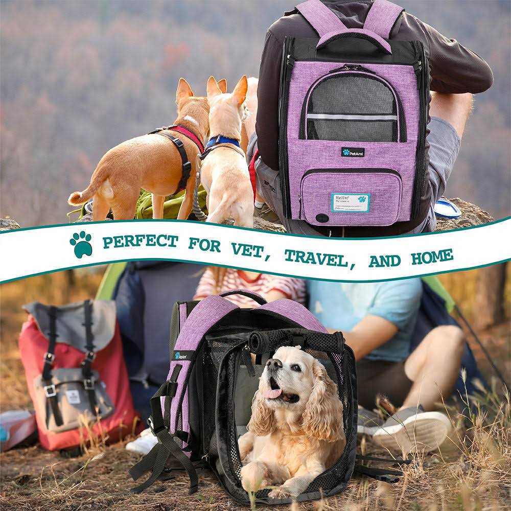 Expandable Pet Carrier Backpack R24332