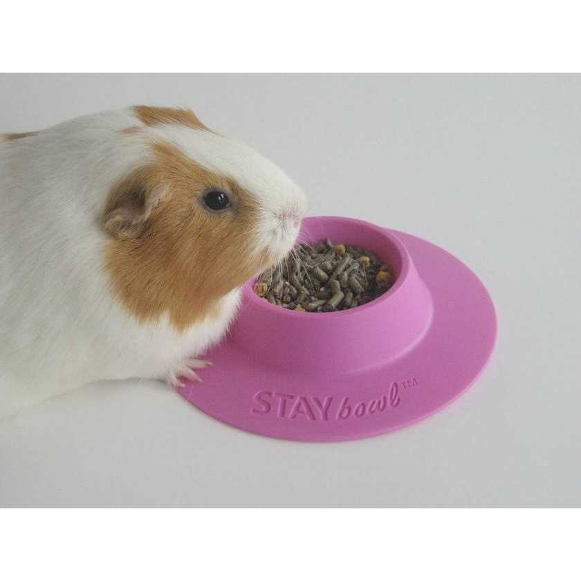 Tip-Proof Bowl for Guinea Pigs and Small Pets O97176