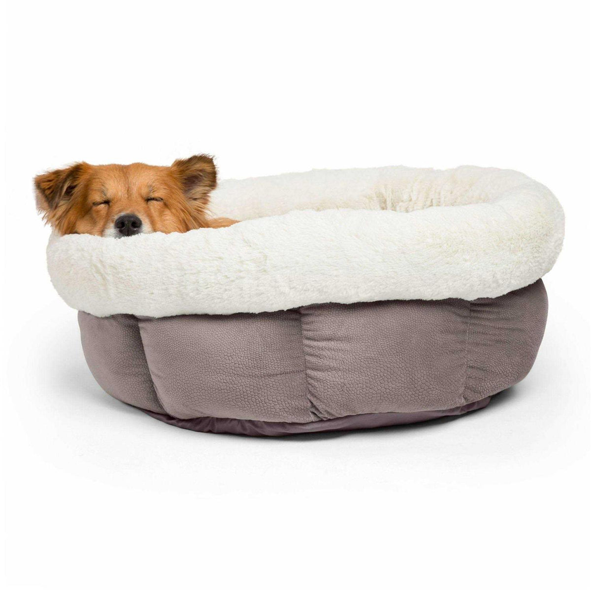 Dog Bed A629