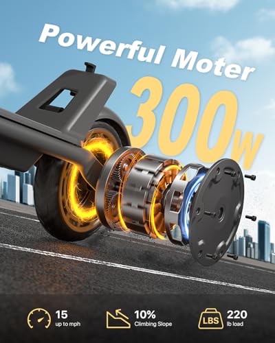 8.5 Solid Tires 300W Motor Electric Scooter F981714