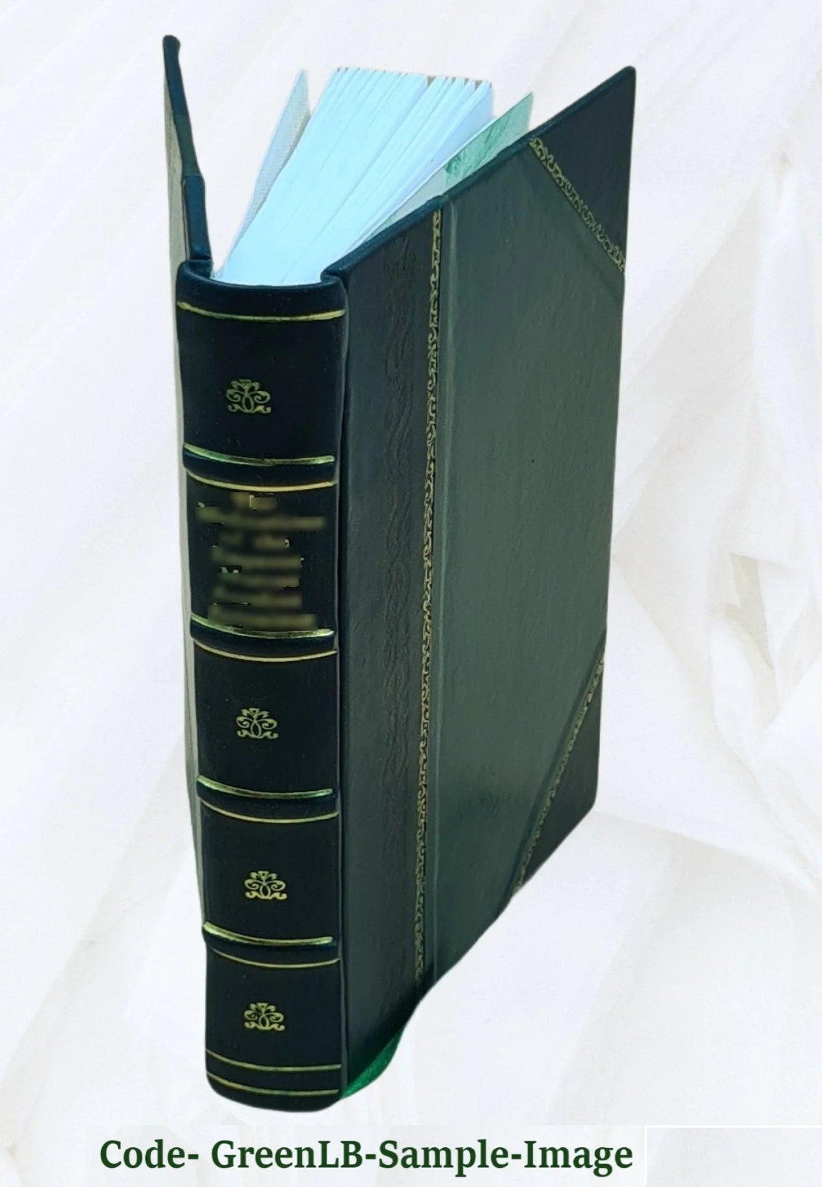 Leather Bound Book X6843