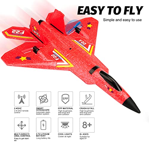 2.4Ghz 2 Channel Remote Control F22 RC Airplane C1635