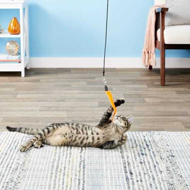 5 Piece Replacement Pack of Worms for Cat and Kitten Toy Wands W574281