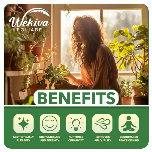 Live Starter Plant in a 2 Inch Pot - Edible Fruit Bearing Tree R4152