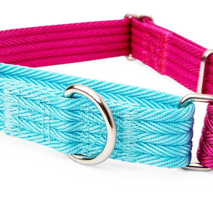 Teal Dog Collar K811976