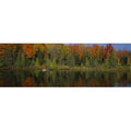 Poster Print 36 x 12 F687767