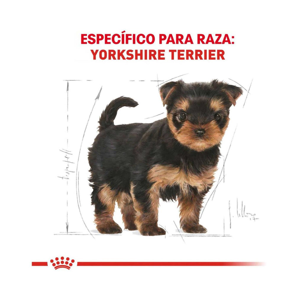 Yorkshire Terrier Puppy Dry Dog Food J60803