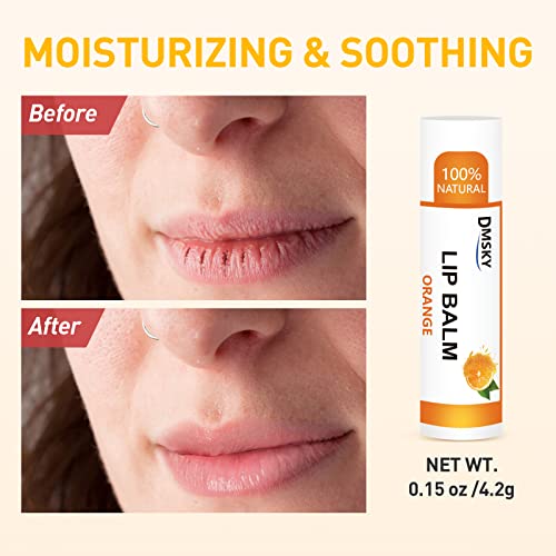 Natural Lip Balm 36 Pack with Vitamin E and Coconut Oil V846