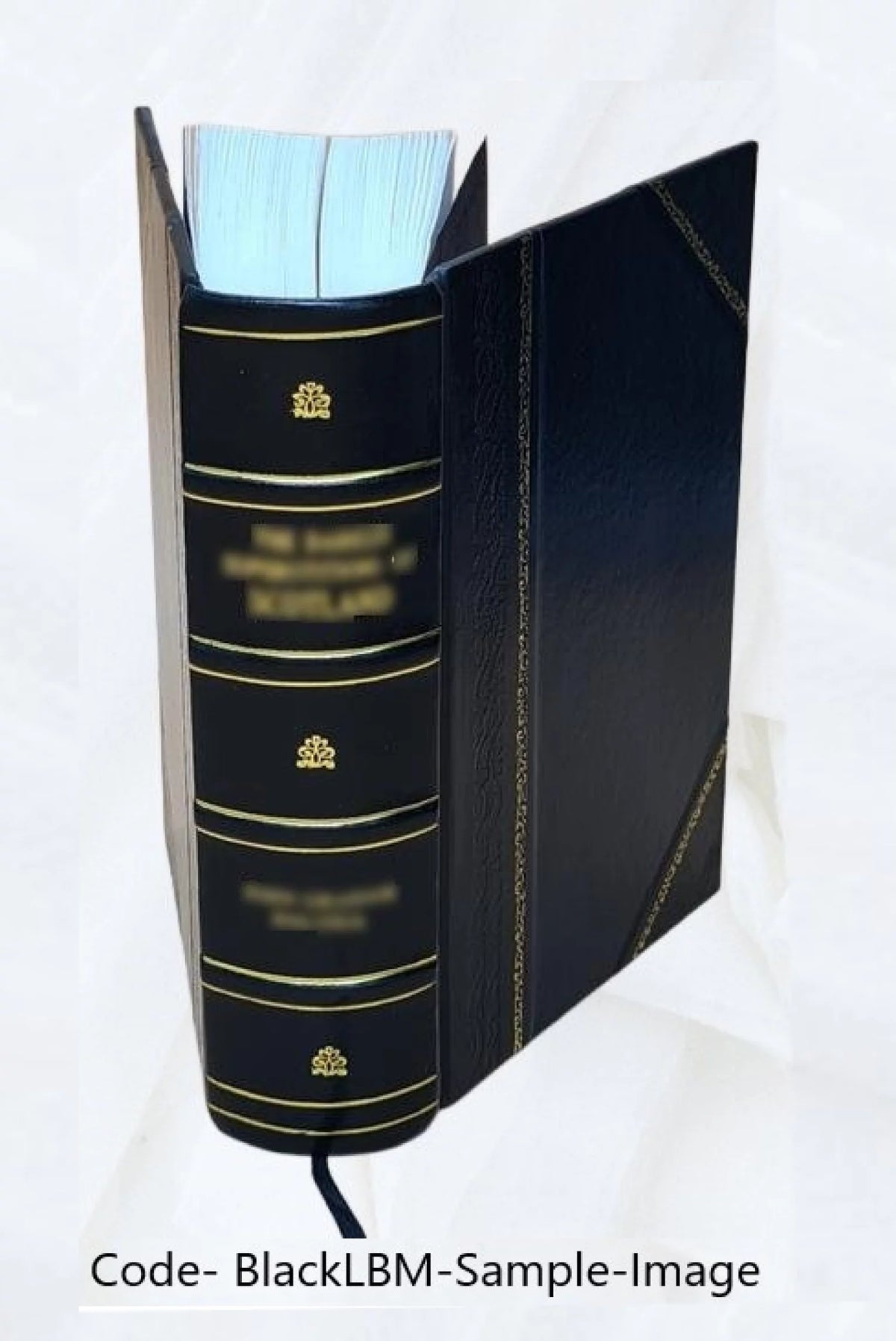 Proceedings of the Grand Lodge of Free and Accepted Masons of Massachusetts 1858-1863 Leather Bound Q9467