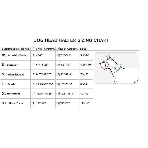 Dog Head Collar Halter X76987