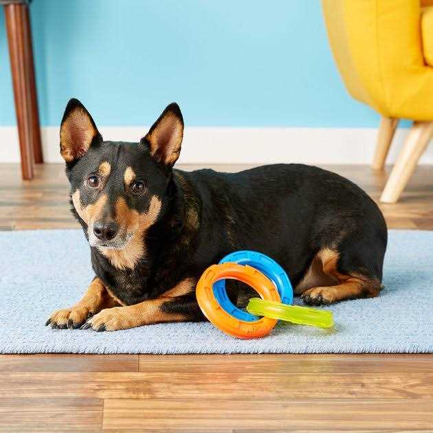 3-Ring Tug Dog Toy E918