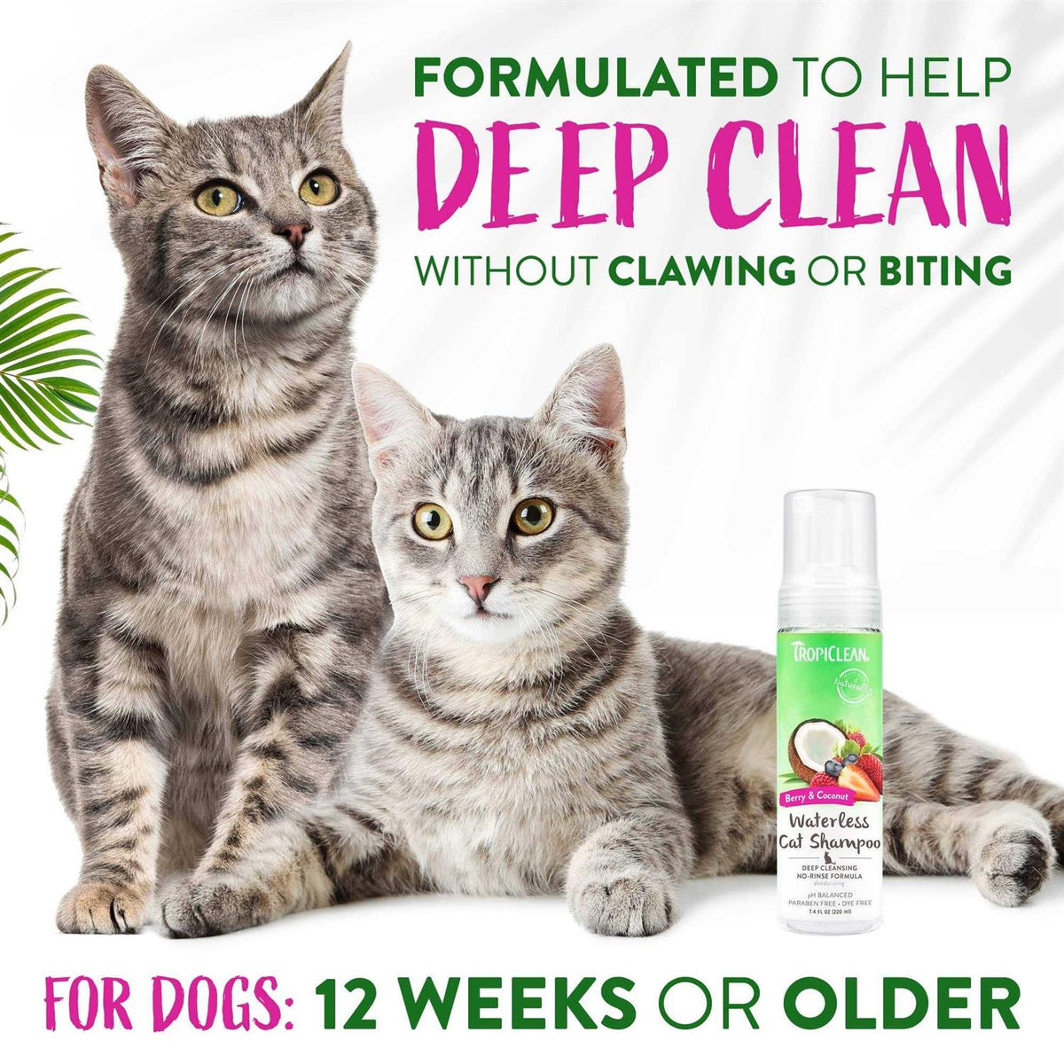 Waterless Deep Cleaning Cat Shampoo D945517