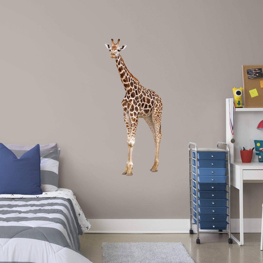 Giant Animal Removable Wall Decal V65309