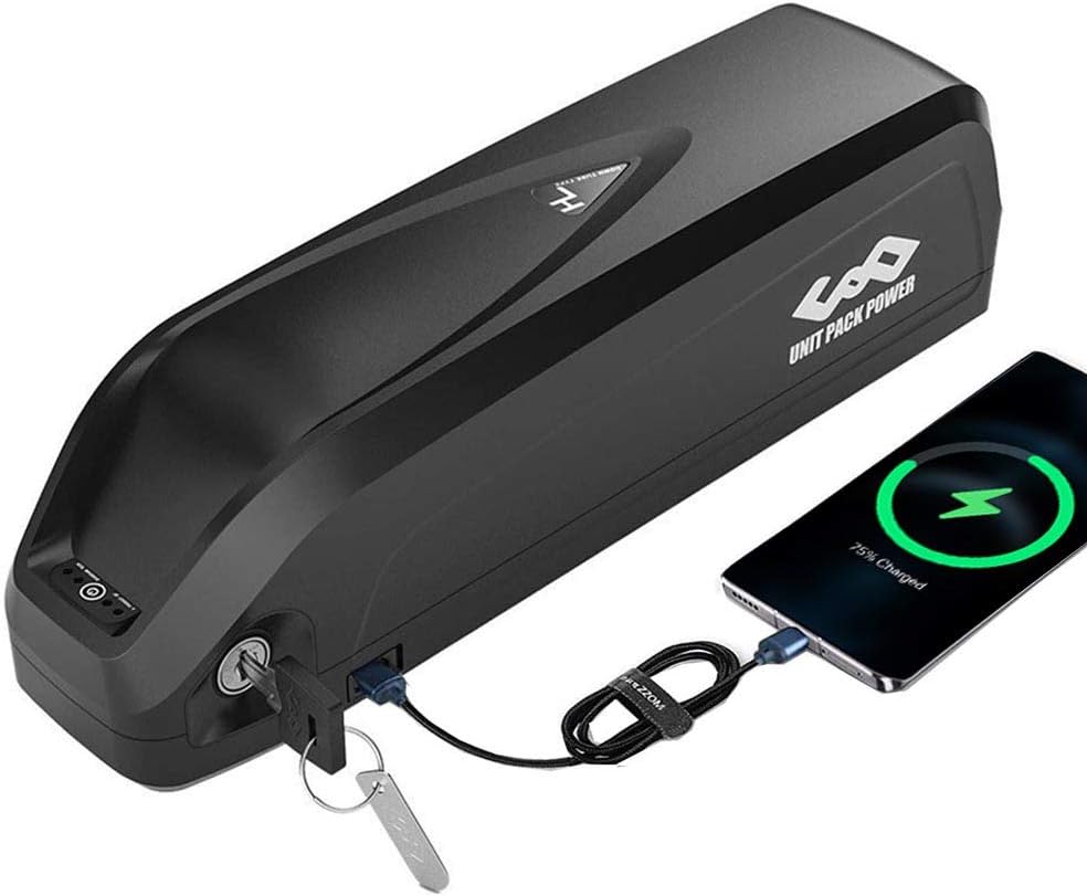 Ebike Battery with Charger & BMS Board P3198