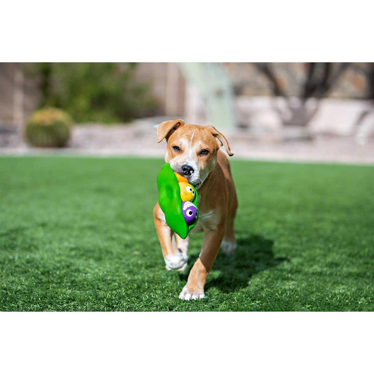 Dog Toy C332