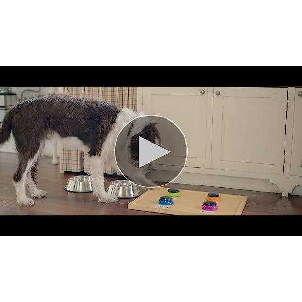 Dry Dog Food Real Chicken & Veggies Recipe N772