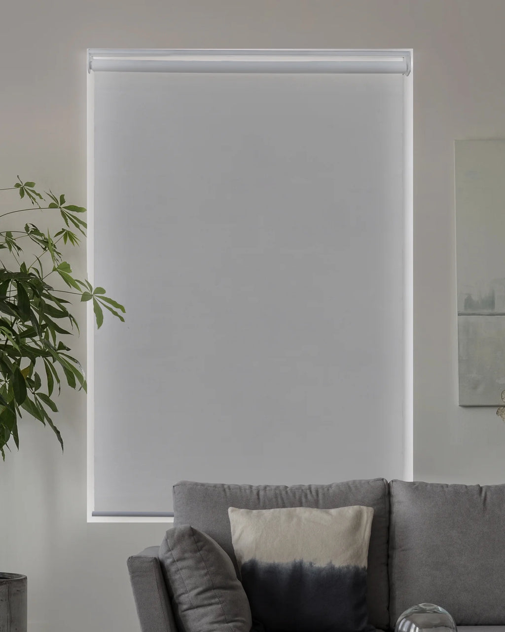 Cordless Roller Shade Blackout 23"W X 72"H Q229