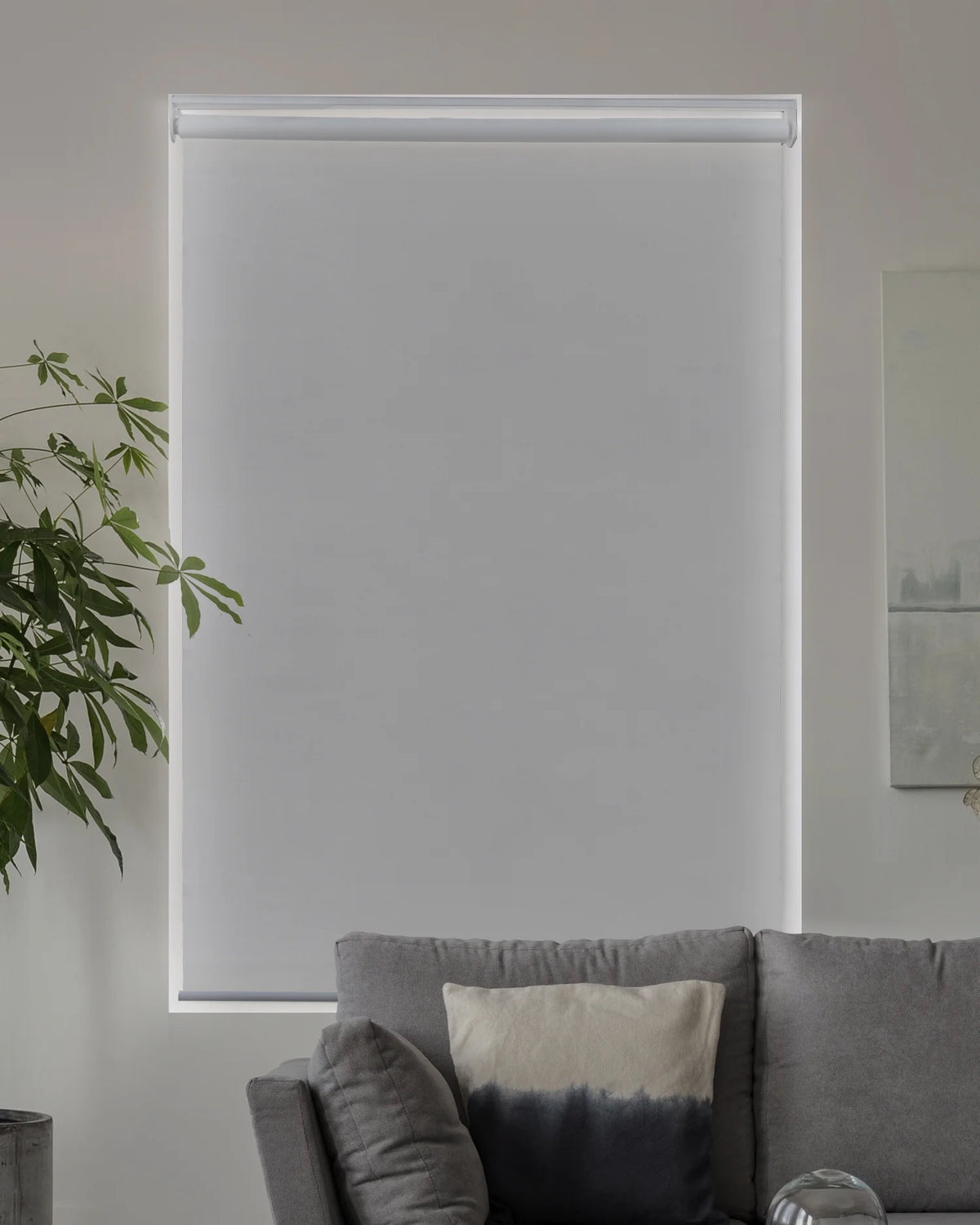 Cordless Roller Shade Blackout 23"W X 72"H Q229
