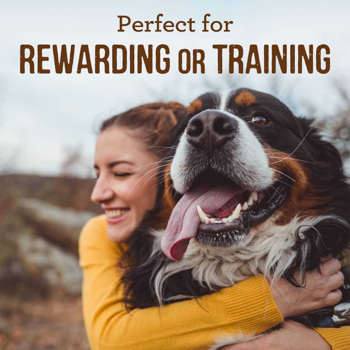 Dog Treats Z985505