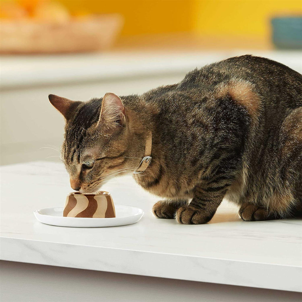 Cat Food V637181