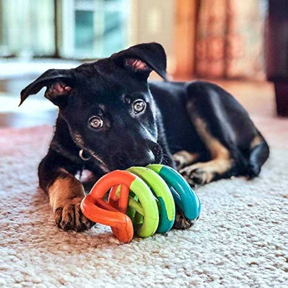 Dog Toy X80279