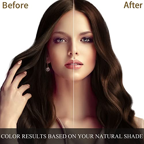 Dark Brown Hair Dye Shampoo 3 in 1 500ML I228