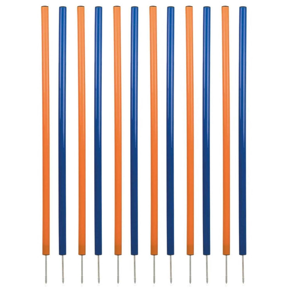 Dog Training Poles I654