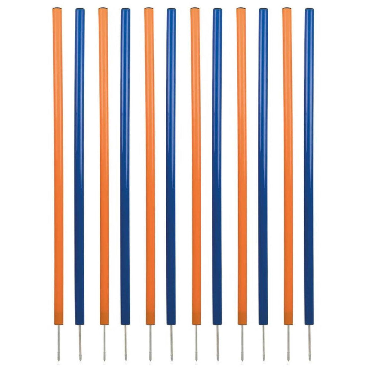 Dog Training Poles I654