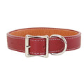 Red 26 Dog Collar Y762031