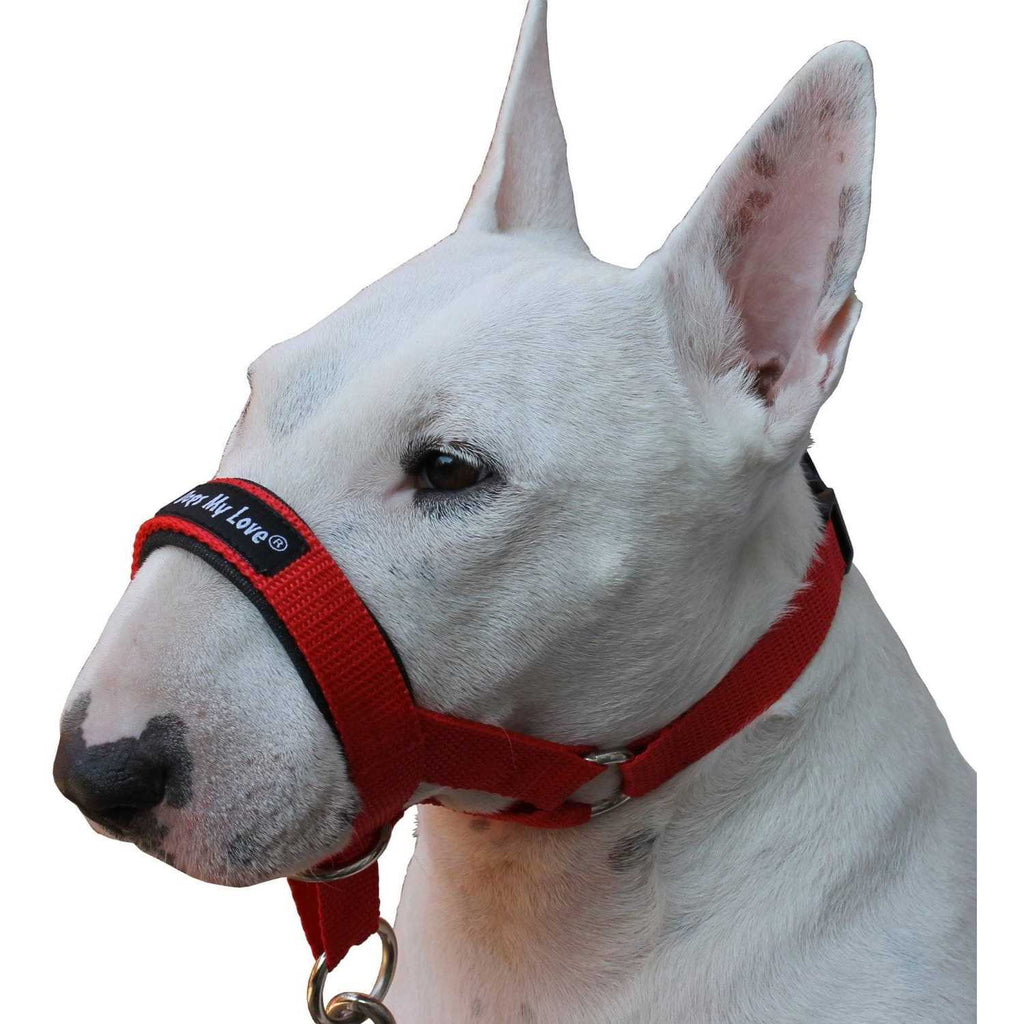 Dog Head Collar Halter X76987