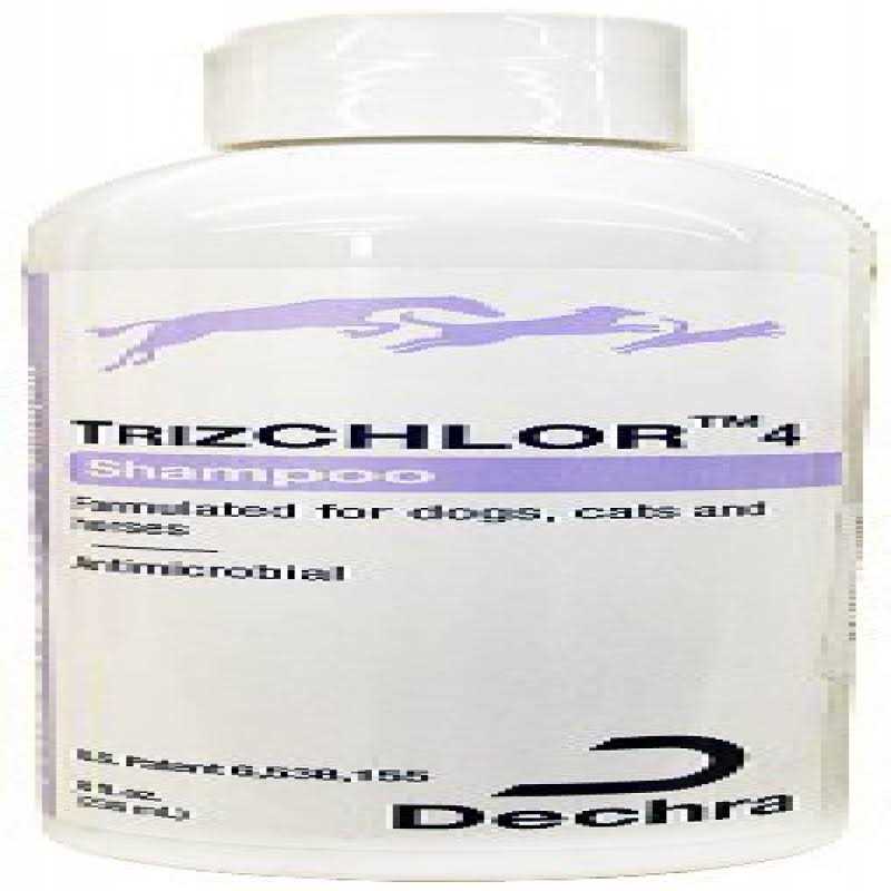 Shampoo O1826