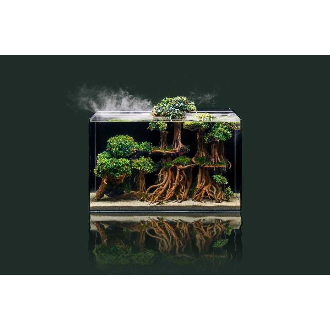 21 Gallon Rimless Aquarium F458144