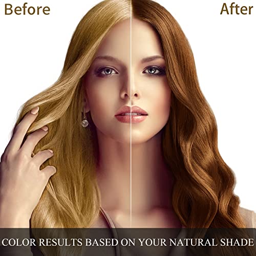 Dark Brown Hair Dye Shampoo 3 in 1 500ML I228