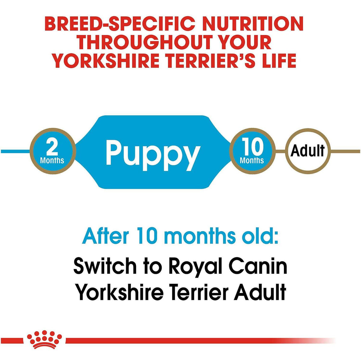 Yorkshire Terrier Puppy Dry Dog Food J60803