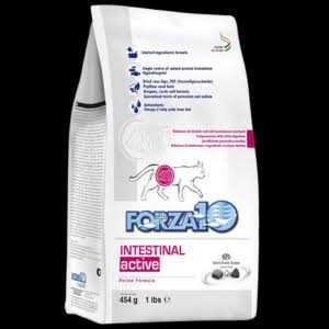 Kidney Renal Active for Cats H9240