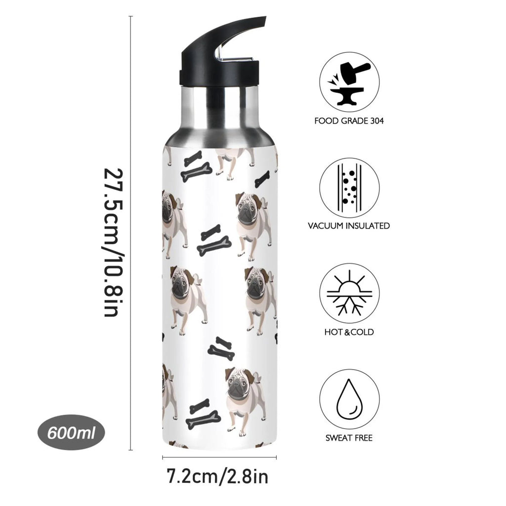Stainless Steel Insulated Water Bottle with Straw Lid X606