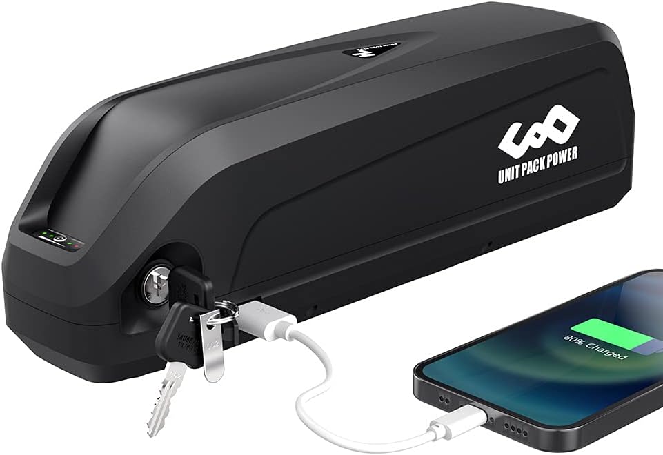 Ebike Battery with Charger & BMS Board P3198
