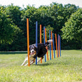 Dog Training Poles I654
