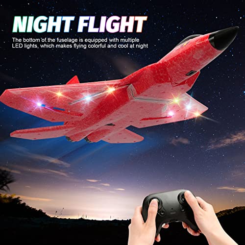 2.4Ghz 2 Channel Remote Control F22 RC Airplane C1635