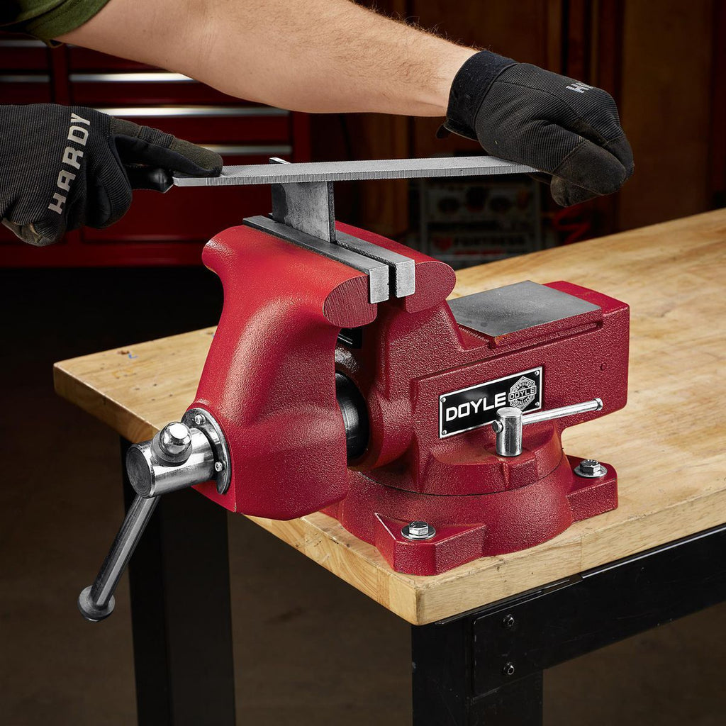 6 in. Swivel Vise with Anvil and Pipe Jaws M113