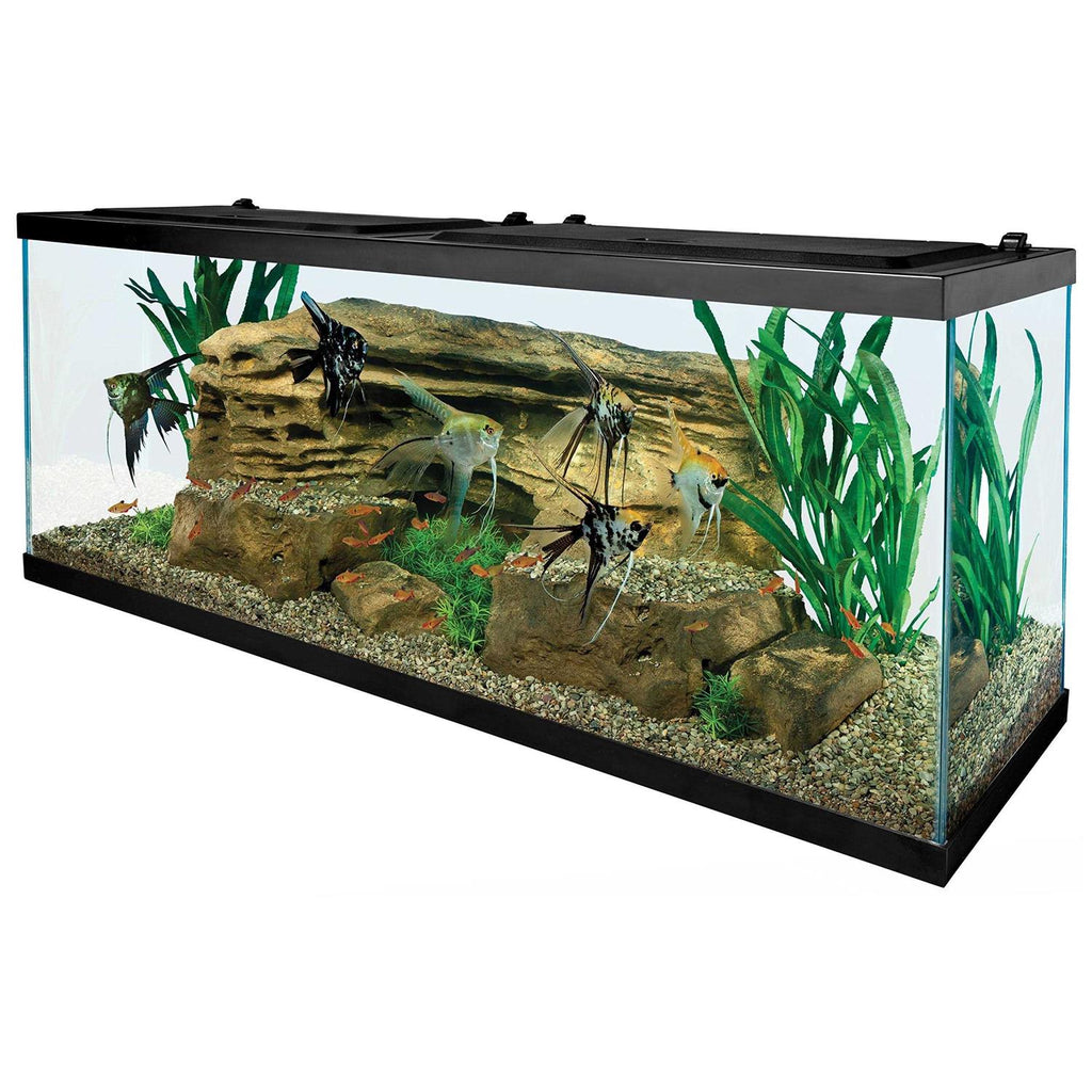 55-Gallon Starter Aquarium with Net E225