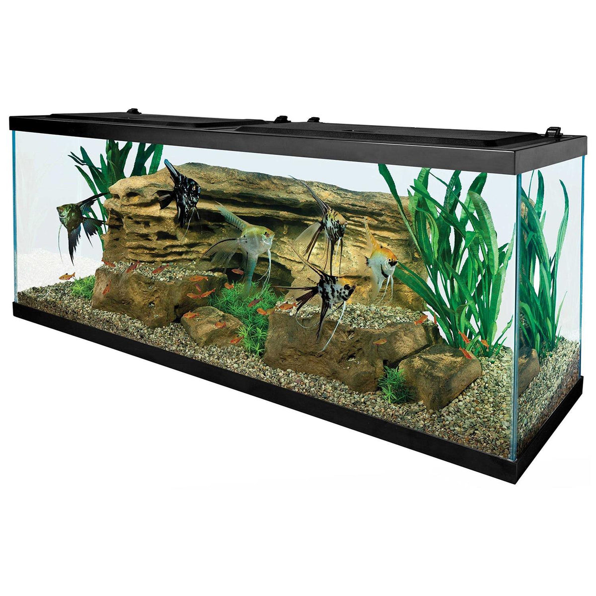 55-Gallon Starter Aquarium with Net E225