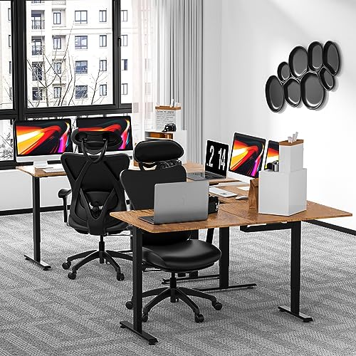 63 inch L Shaped Electric Adjustable Height Standing Desk X31735