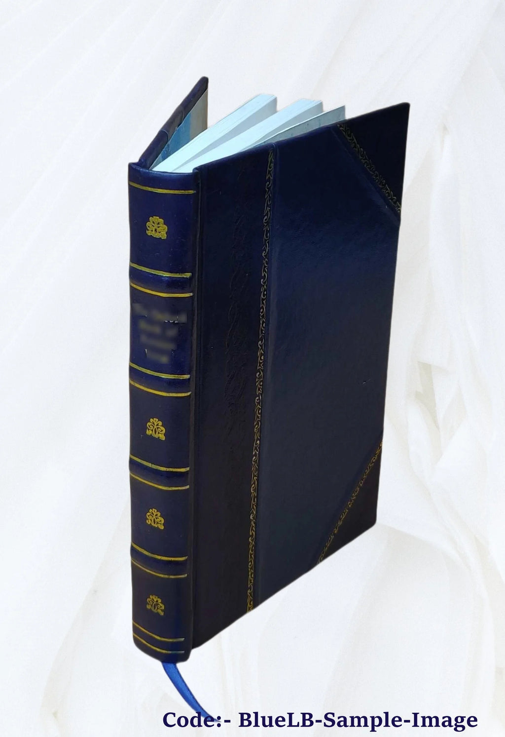 Leather Bound Book X6843