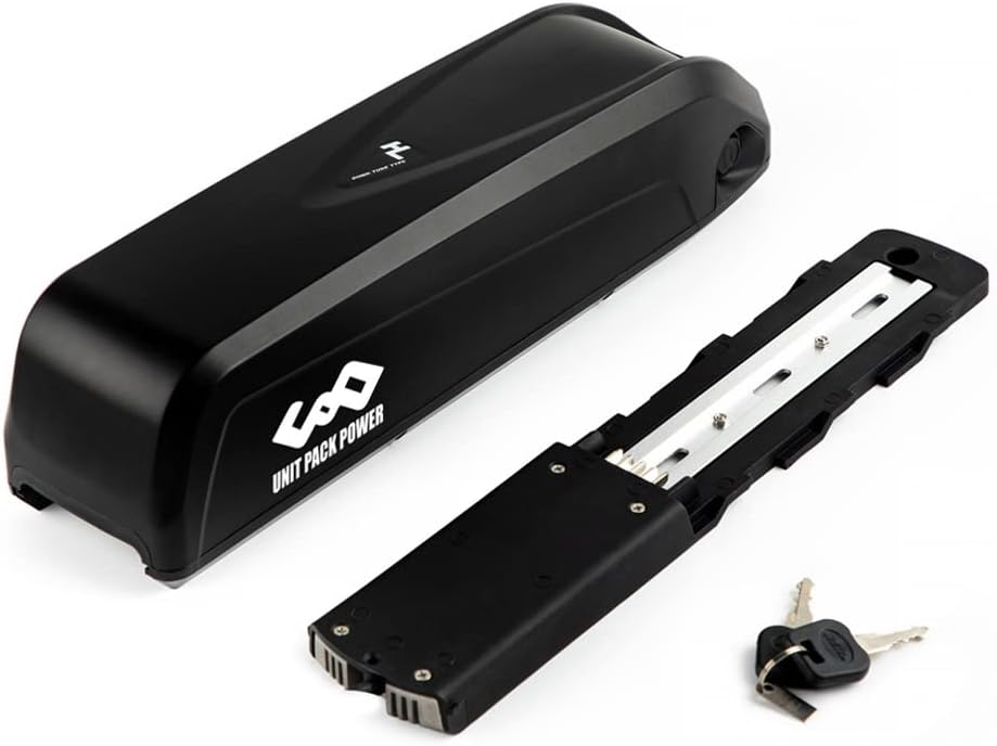 Ebike Battery with Charger & BMS Board P3198