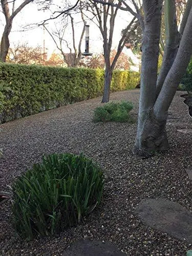 HEXpave Grid Permeable Paver System H1149