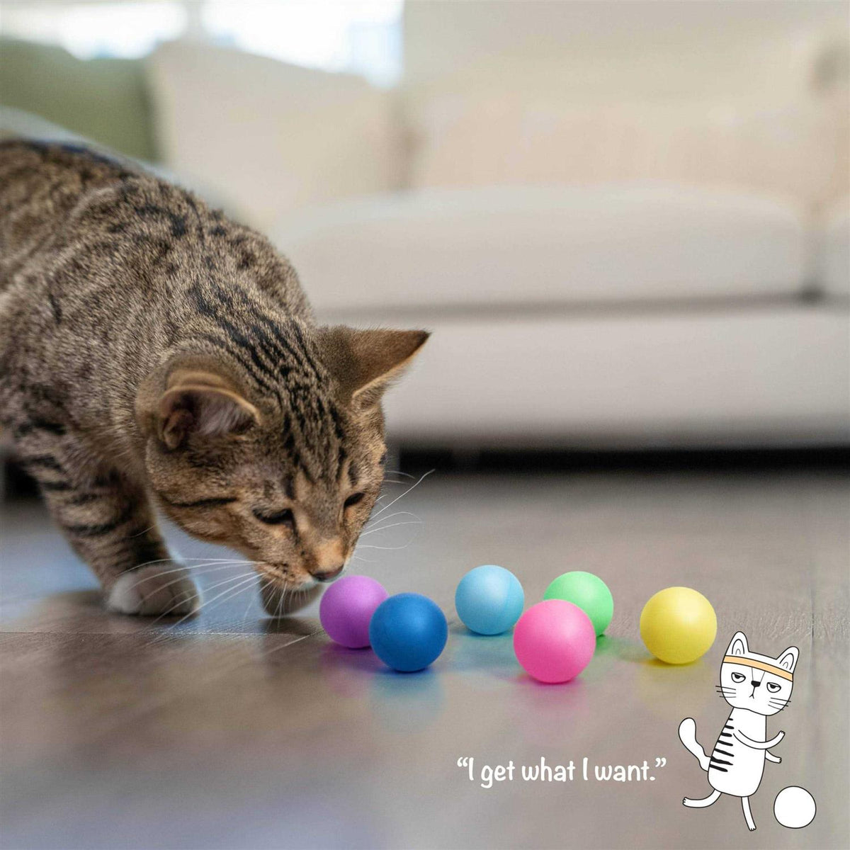 Replacement Balls for Cat Track Toy K28484